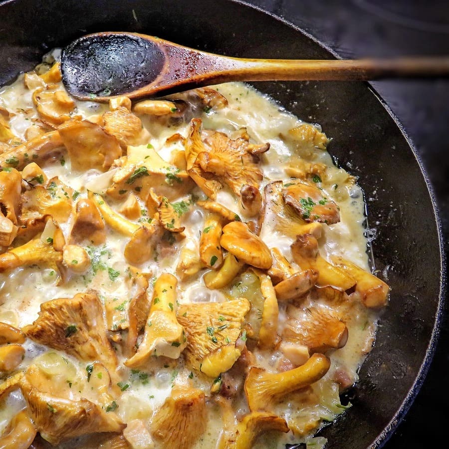 chanterelle mushrooms