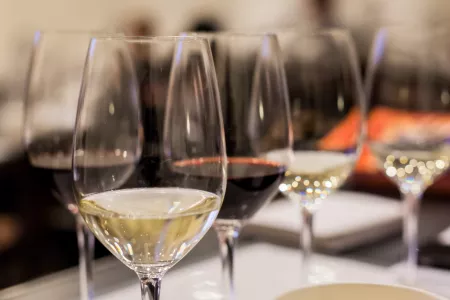white and red wine in glasses